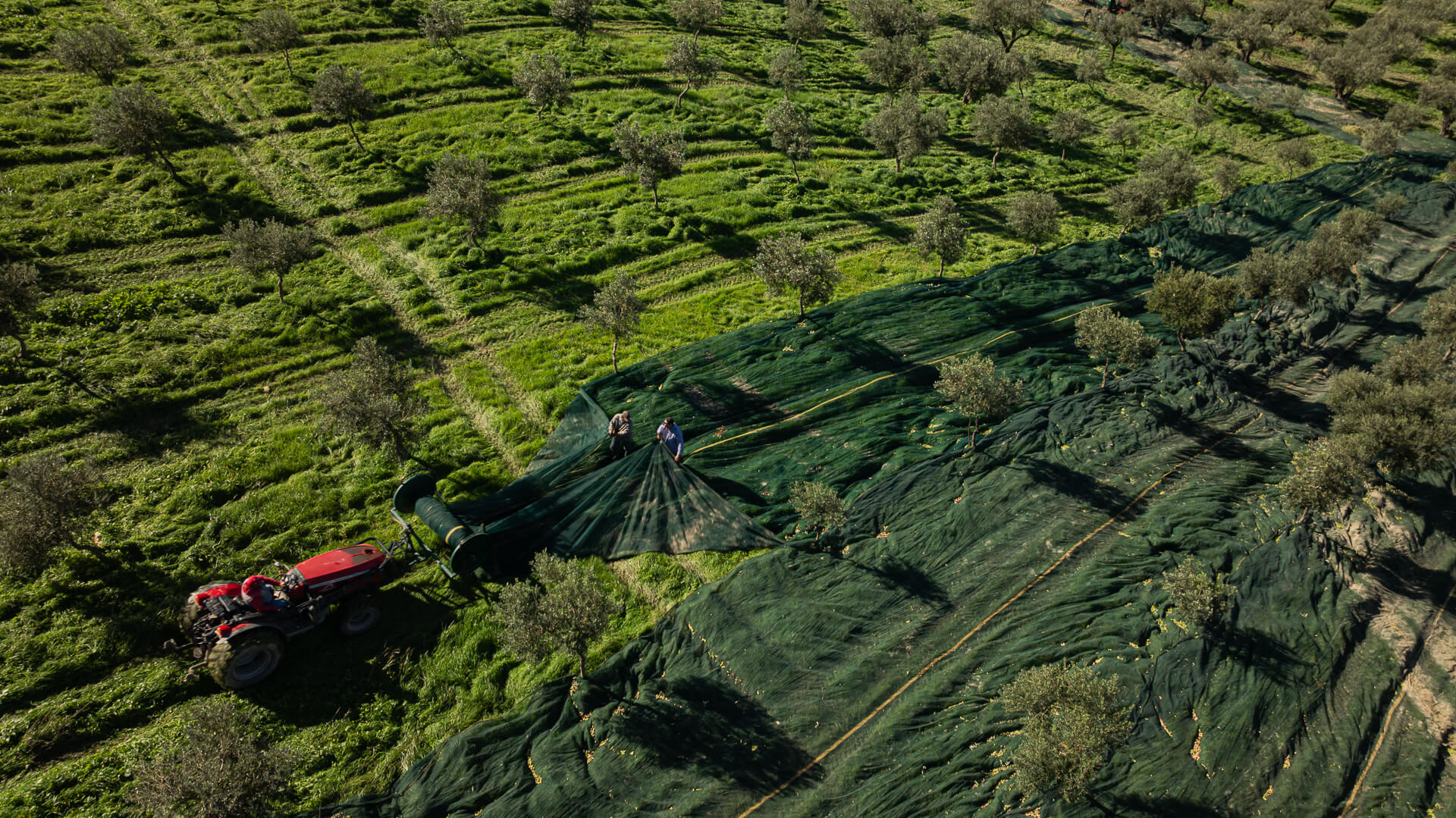 Olio e Prodotti Artigianali